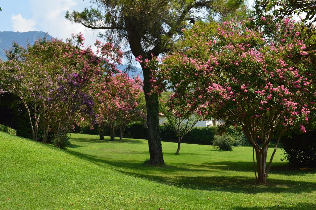 Tenuta Torellone San Potito Sannitico Dış mekan fotoğraf