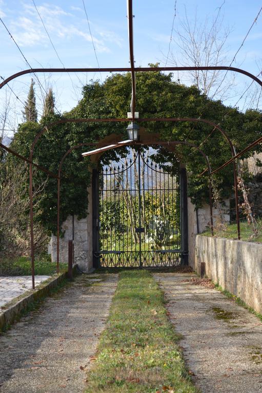 Tenuta Torellone San Potito Sannitico Dış mekan fotoğraf